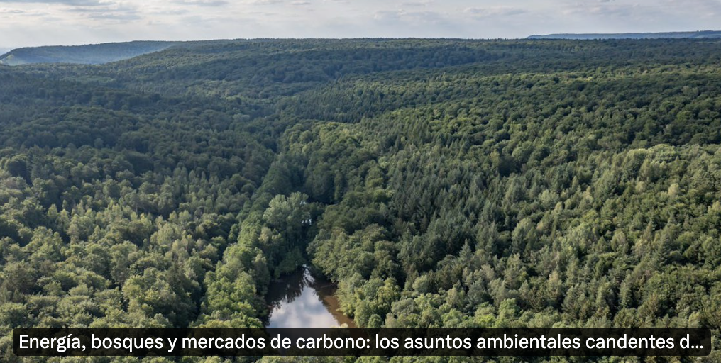 TheConversation_10_07_24