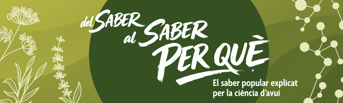 Bàner Del Saber_1200x360_72ppp_webFCRI