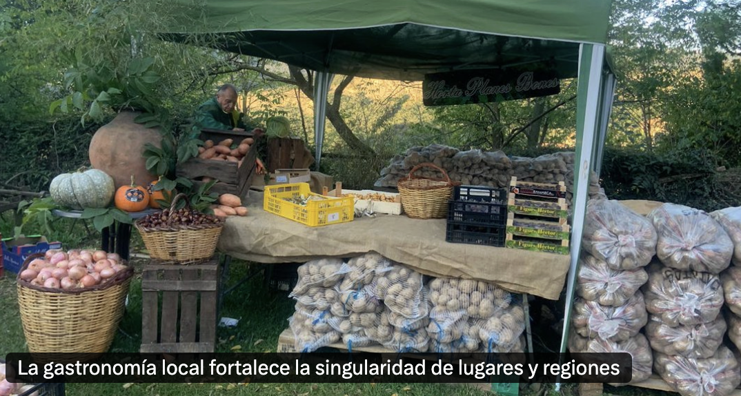 TheConversation_11_11_25