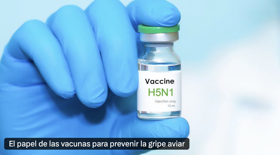 The_Conversation_27_02_25