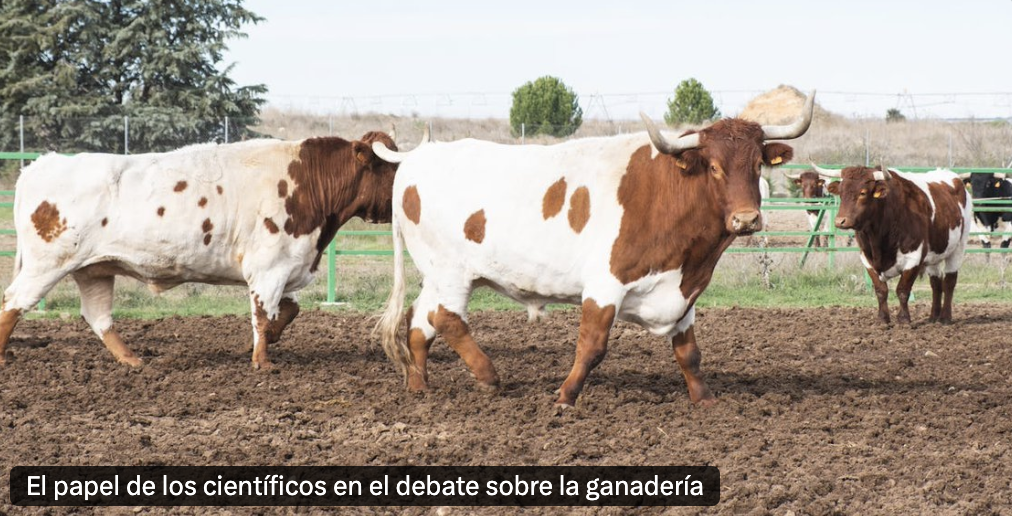 The_Conversation_5_02_25